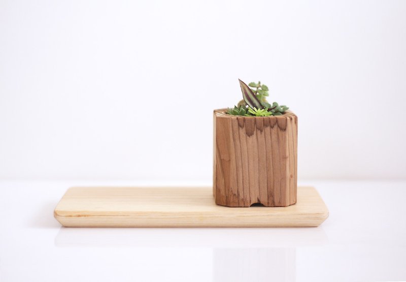 Set of  Wooden Plant Pot - เซรามิก - ไม้ สีนำ้ตาล