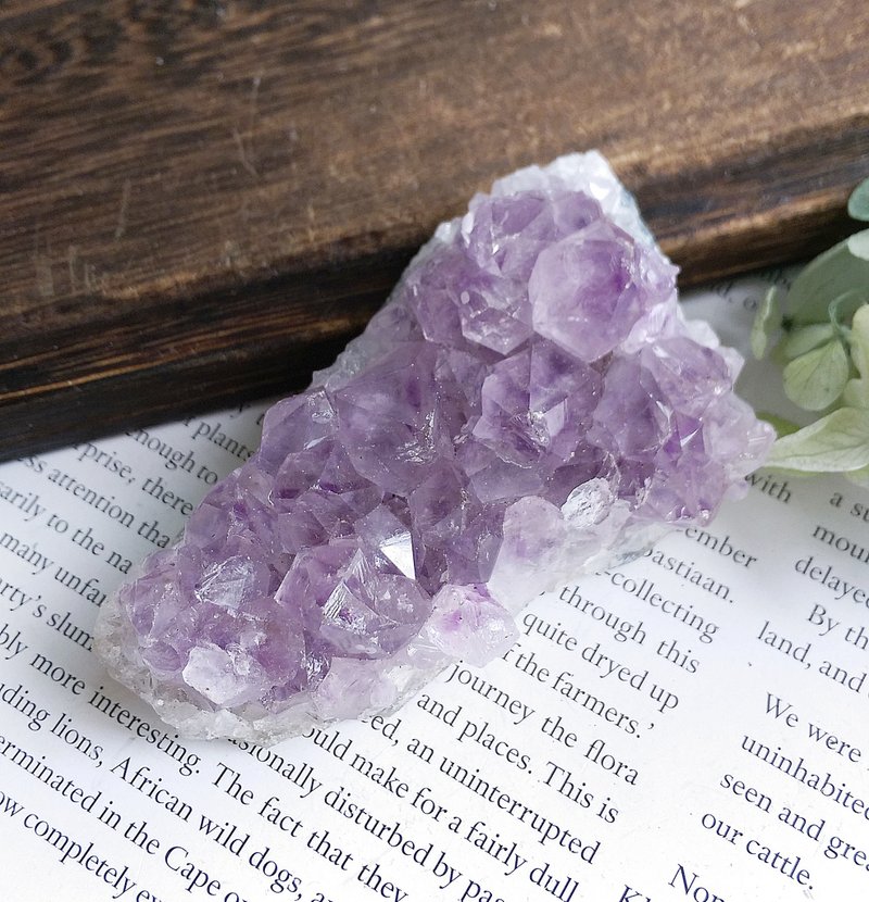 Amethyst 巴西產地 原皮紫水晶 晶簇 天然礦石 原礦 - 擺飾/家飾品 - 其他材質 