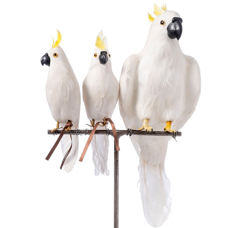 Discontinued decision!!! Parrot 102 S/Side Handmade animal styling - Parrot - Stuffed Dolls & Figurines - Other Materials White