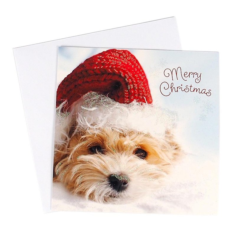 Cute dog Christmas hat Christmas box card 10 into [Hallmark-card Christmas series] - การ์ด/โปสการ์ด - กระดาษ สีแดง