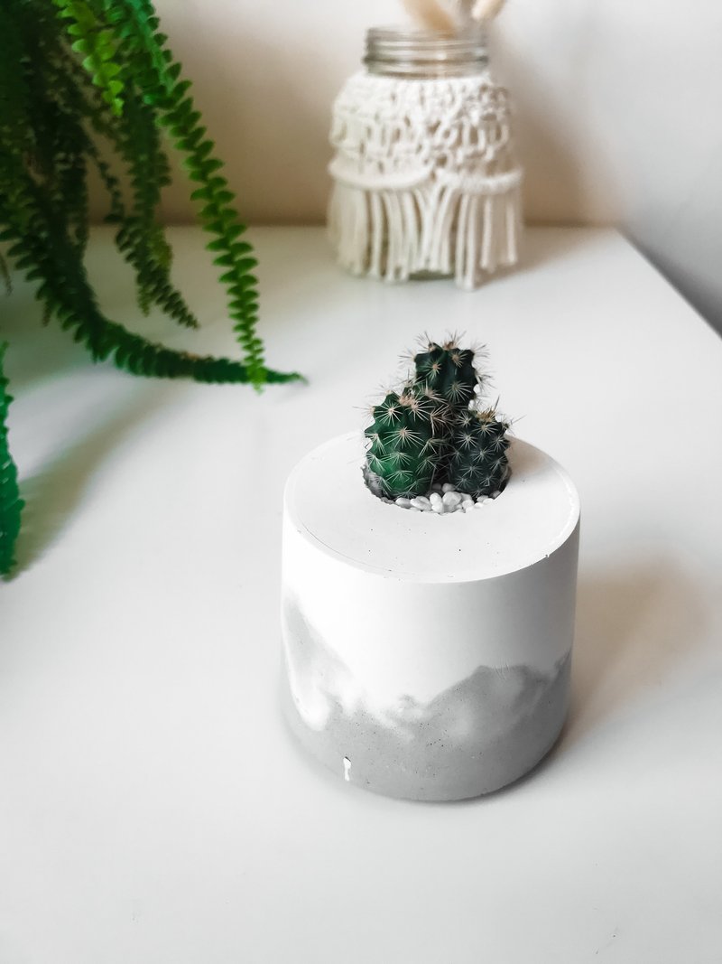 雪山洞穴-桌上型盆栽/水泥盆栽 - 盆栽/植栽 - 水泥 灰色