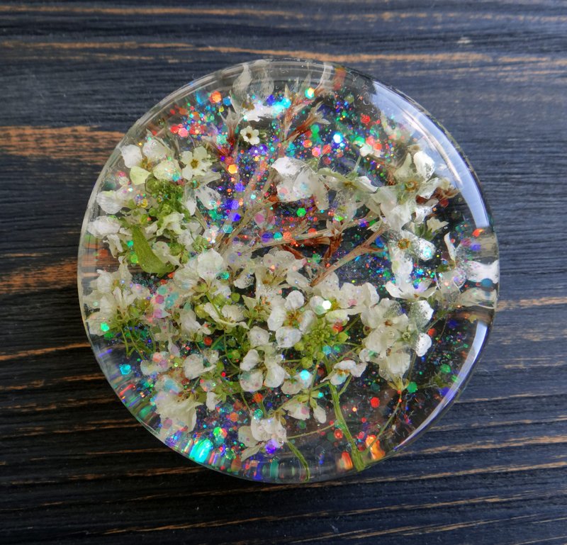 Rainbow plugs earrings 2g 0g 00g ear gauges Prom jewelry Floral - 耳環/耳夾/耳骨夾 - 植物．花 白色