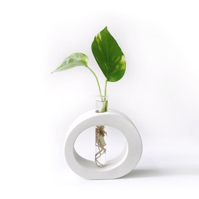 (現貨) 純灰系列 | 黃金葛 室內水培植栽 圓圈水泥水耕花架 - 盆栽/植栽 - 植物．花 灰色