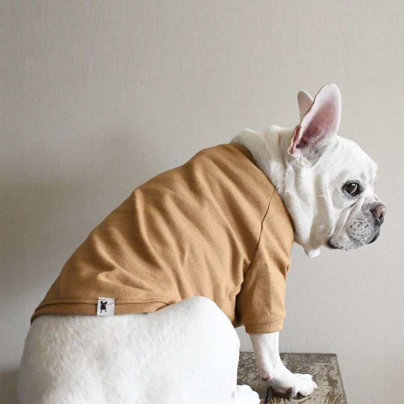 Basque Plain Shirt _ Mustard _ For French bulldog - ชุดสัตว์เลี้ยง - ผ้าฝ้าย/ผ้าลินิน 