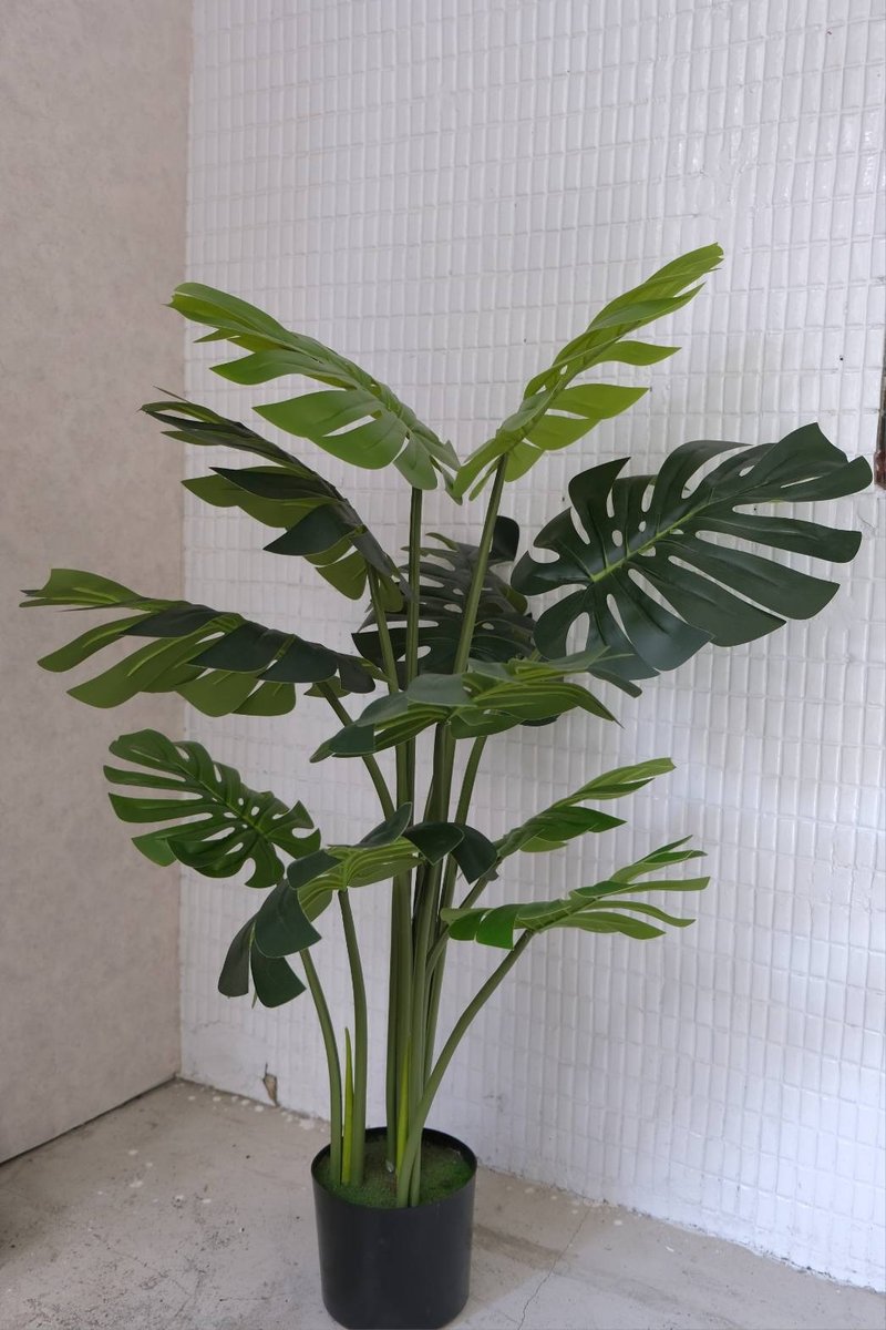 人造植栽/仿真龜背葉/仿真植物/綠化/永不凋零 - 植栽/盆栽 - 塑膠 綠色