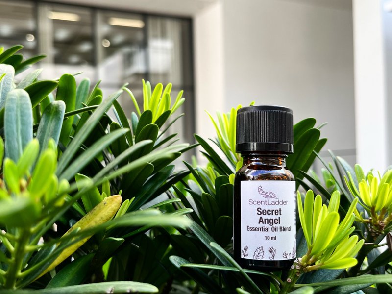 Secret Angel l essential oil blend l elegant floral fragrance l relaxation and stress reduction - Fragrances - Essential Oils 