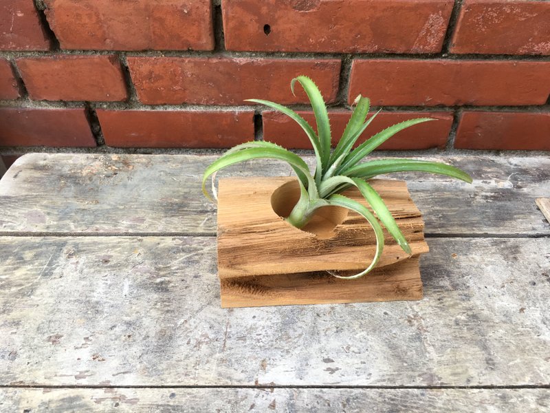 台灣檜木花臺 風化木、蓮花孔20cm*8cm*6.5cm - 盆栽/植栽 - 木頭 金色