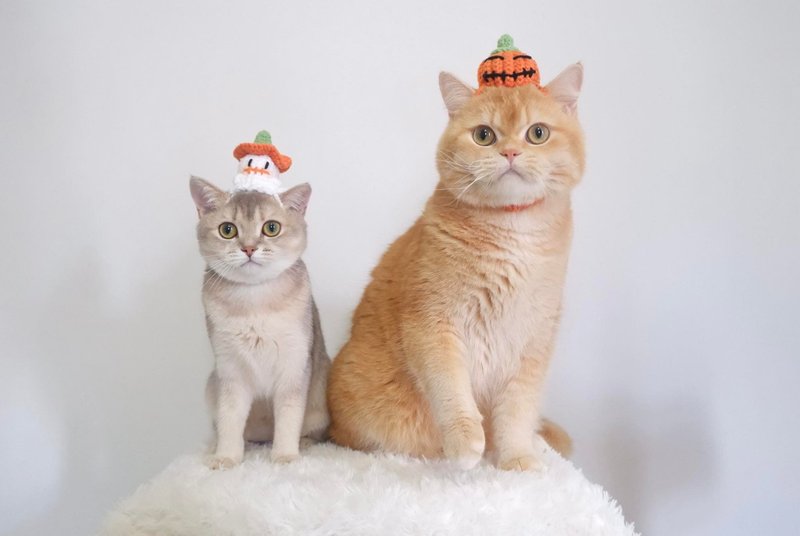 SPOOKY HATS,handmade crochet hat,Pumpkin and ghost hat for pet - 寵物衣服 - 羊毛 橘色