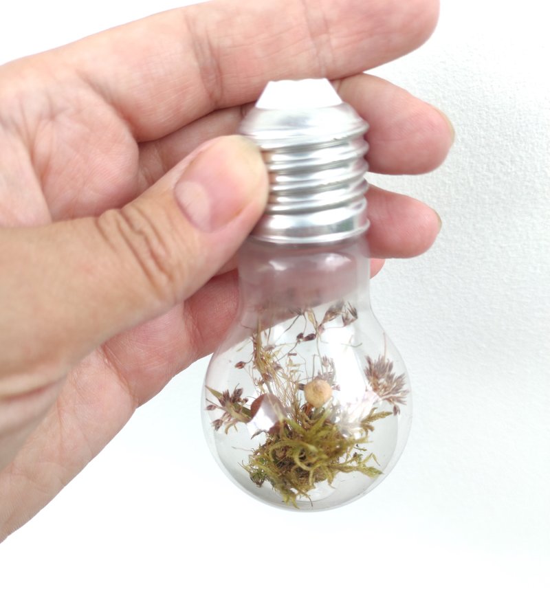 Light bulb  terrarium  1 piece, terrarium with real mushrooms and forest grass - ช่อดอกไม้แห้ง - พืช/ดอกไม้ สีกากี