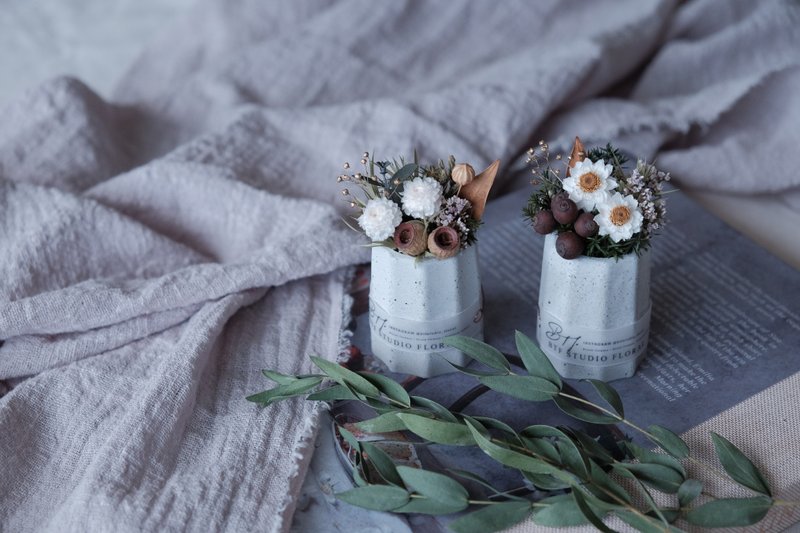 Plant Potted Flowers-Calilu Potted Flowers Forest Series Potted Flowers Christmas Gift (with Handwritten English Blessing Card) - Dried Flowers & Bouquets - Plants & Flowers Green