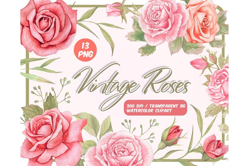 Watercolor vintage roses clipart - Dusty Pink flowers PNG - วาดภาพ/ศิลปะการเขียน - วัสดุอื่นๆ สึชมพู