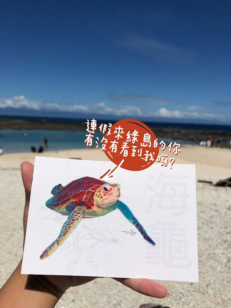 ウミガメとの出会い-台湾グリーン/手描き/ウミガメ/ダイビング/ポストカード - カード・はがき - 紙 グリーン
