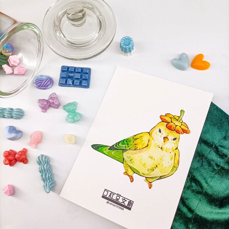 KR474_口紅堂明信片_鸚鵡12_candy1313588 postcard - 卡片/明信片 - 紙 多色