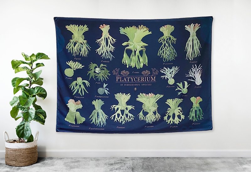 18品種鹿角蕨插畫圖鑑-掛布 - 掛牆畫/海報 - 聚酯纖維 綠色