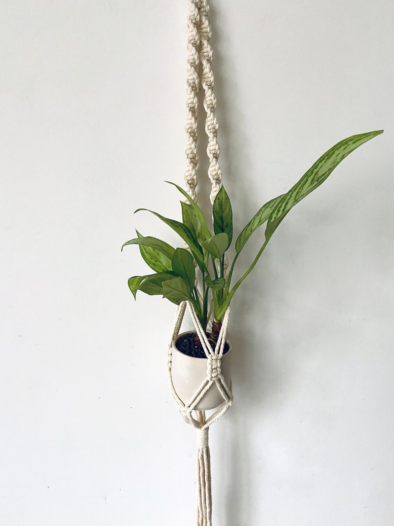植感生活北歐風室內植栽素燒陶盆DIY系列結繩吊飾-美麗粗肋草 - 盆栽/植栽 - 植物．花 綠色