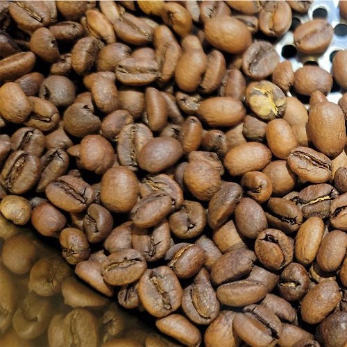 Funbodhi 方菩提 衣索比亞 班莎 花藏 厭氧蜜處理 - 單品咖啡豆460g