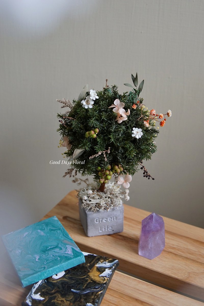 Wish Tree - Cedar - Dried Flowers & Bouquets - Plants & Flowers Multicolor