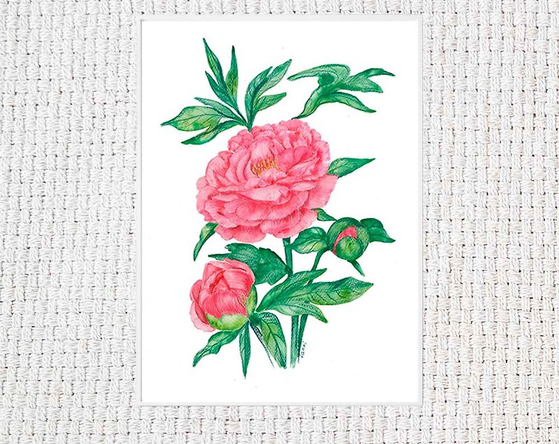 Coral tree peony_Art Watercolor drawing_from the artist_download and print - 牆貼/牆身裝飾 - 其他材質 