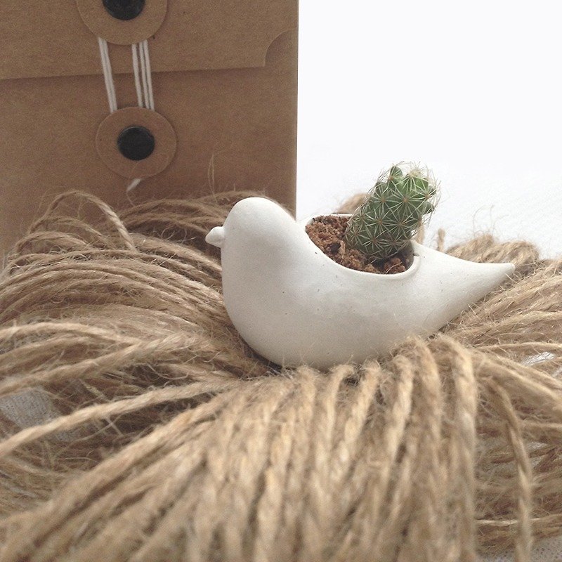 JinJin cement pot - Birds - Plants - Cement White