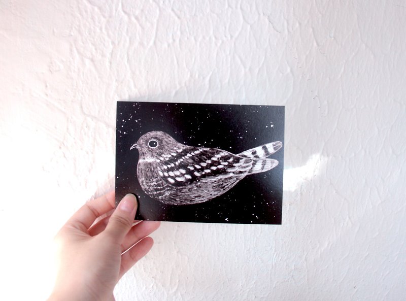 香港野鳥はがきナイトホーク - カード・はがき - 紙 ブラック
