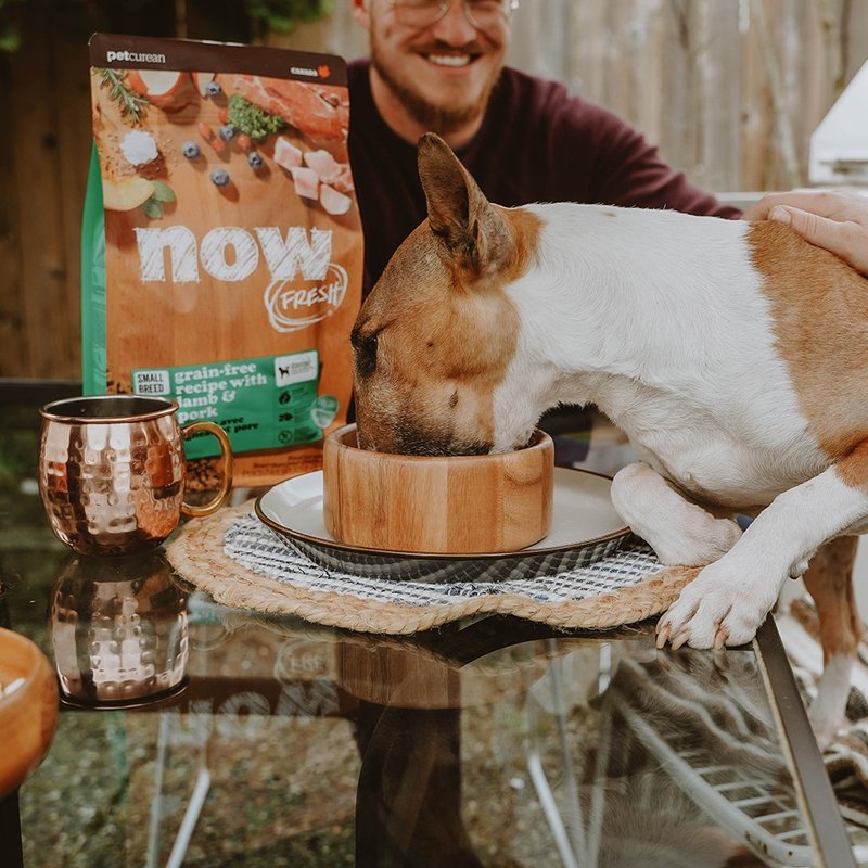 [dog staple food] now red meat grainfree small adult dog natural food