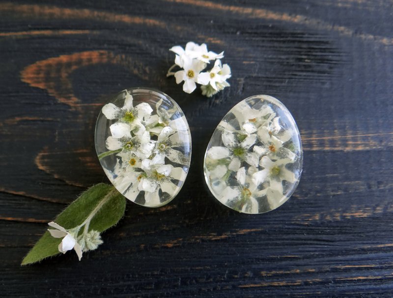 Forget me not plug earrings  White earrings 0g 2g 19mm Flowers - 耳環/耳夾/耳骨夾 - 植物．花 白色