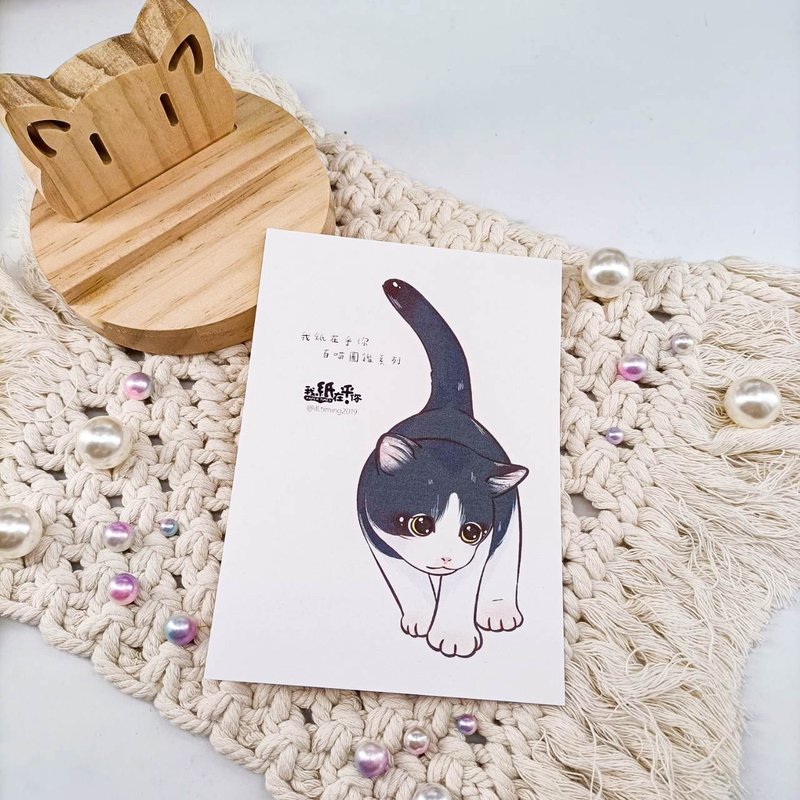ME182-A44_我紙在乎你百喵圖鑑系列明信片_postcard - 卡片/明信片 - 紙 多色