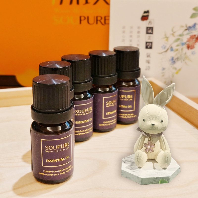 溯璞家品 手作造型擴香石+天然精油2+1入 療癒芳香組合任選 - 香氛/精油/擴香 - 其他材質 