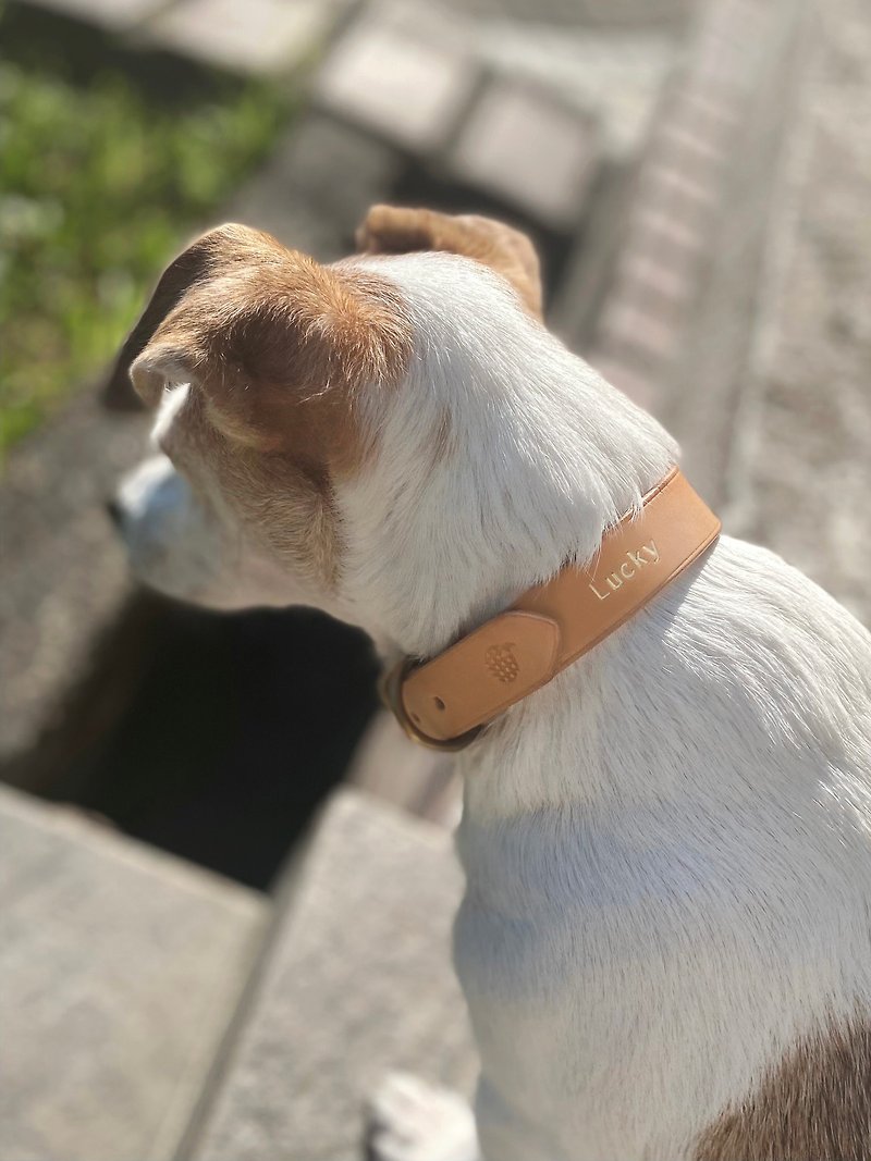 [Cat and Dog Collars] Vegetable-tanned leather/adjustable/customized hot-stamped name - ปลอกคอ - หนังแท้ สีนำ้ตาล