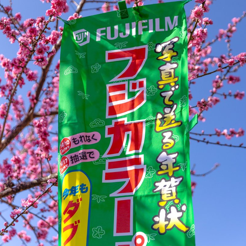 桑惠商號  昭和日本製 富士FUJIFILM 特別色印刷廣告旗幟 直式 - 擺飾/家飾品 - 絲．絹 多色