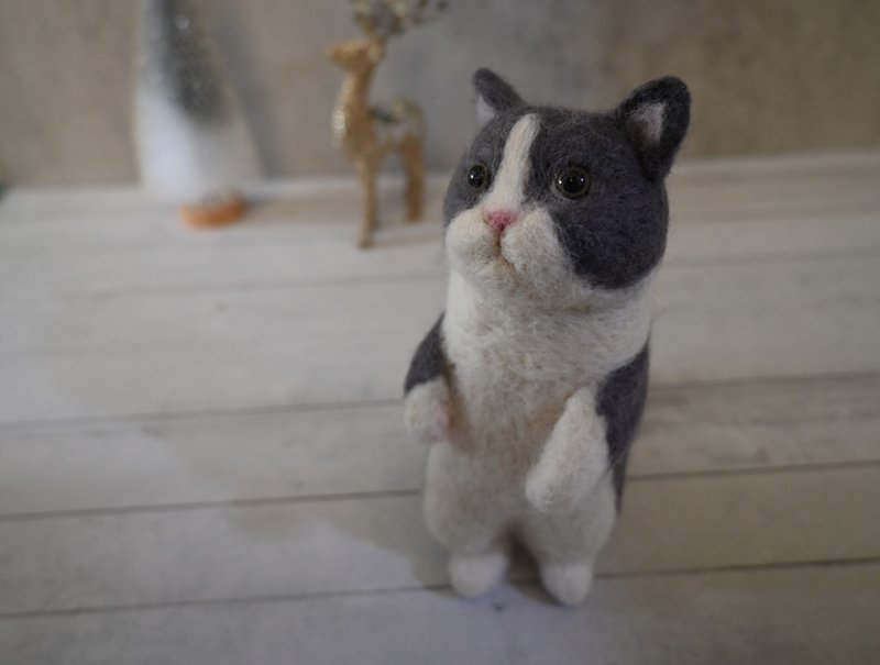 Christmas gift box Christmas gift wool silly cat - ตุ๊กตา - ขนแกะ 