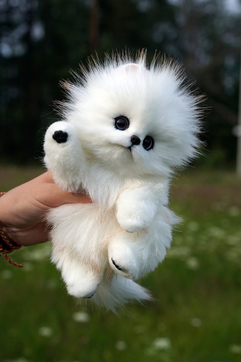 white pomeranian puppy - 公仔/玩偶 - 其他材質 白色