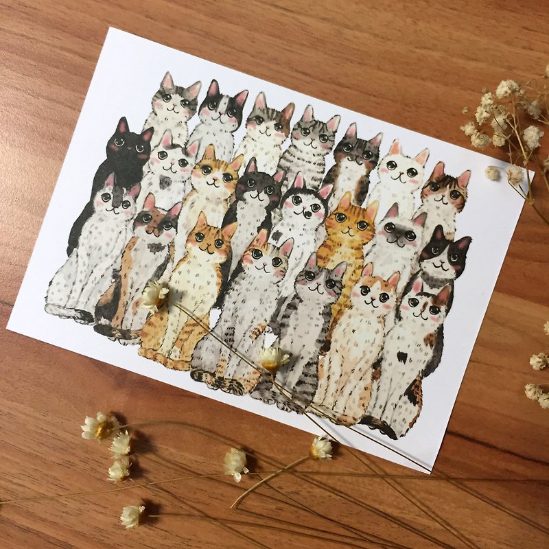 Cats stand in a row postcard - การ์ด/โปสการ์ด - กระดาษ หลากหลายสี