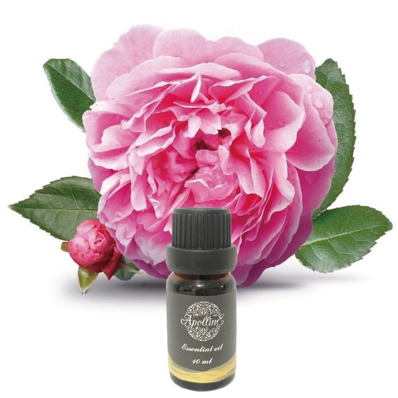 奧圖玫瑰精油 ROSE BULGARIAN - 香氛/精油/擴香 - 精油 