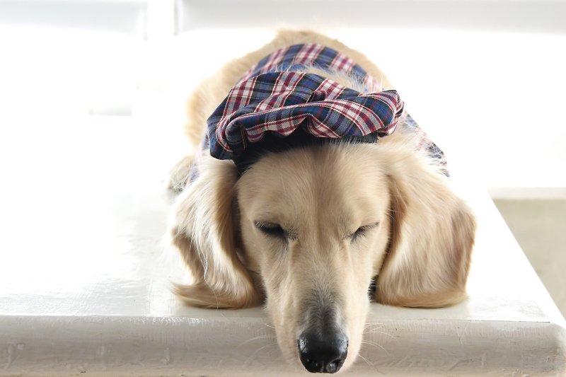 【ZAZAZOO】ペット用フレンチベレー帽丨犬猫兼用 - 洋服・帽子 - コットン・麻 多色