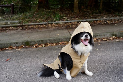 Doggybench LNPB - 寵物Trench防水雨衣(四季通用)-大型犬