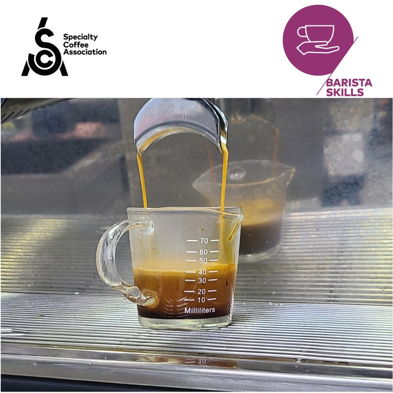 SCA 精品咖啡協會咖啡師初級課程 - 烘焙/烹飪/料理 - 其他材質 