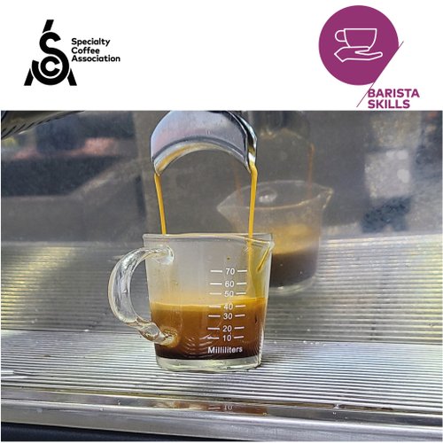 Miss J Square Coffee SCA 精品咖啡協會咖啡師初級課程