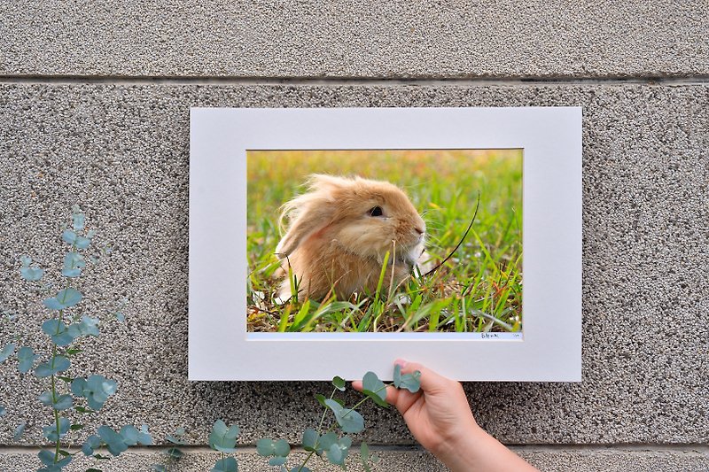 Original limited edition rabbit photography art-Nianxiang - ของวางตกแต่ง - กระดาษ สีส้ม