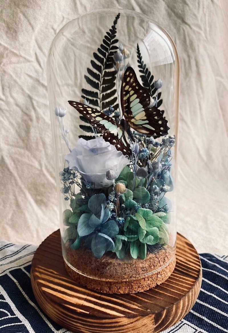 Butterfly Specimen Glass Cup-Valley Elf/Dried Flower/Ecological Bottle/Blue-spotted Swallowtail/Birthday Gift - Dried Flowers & Bouquets - Plants & Flowers Blue