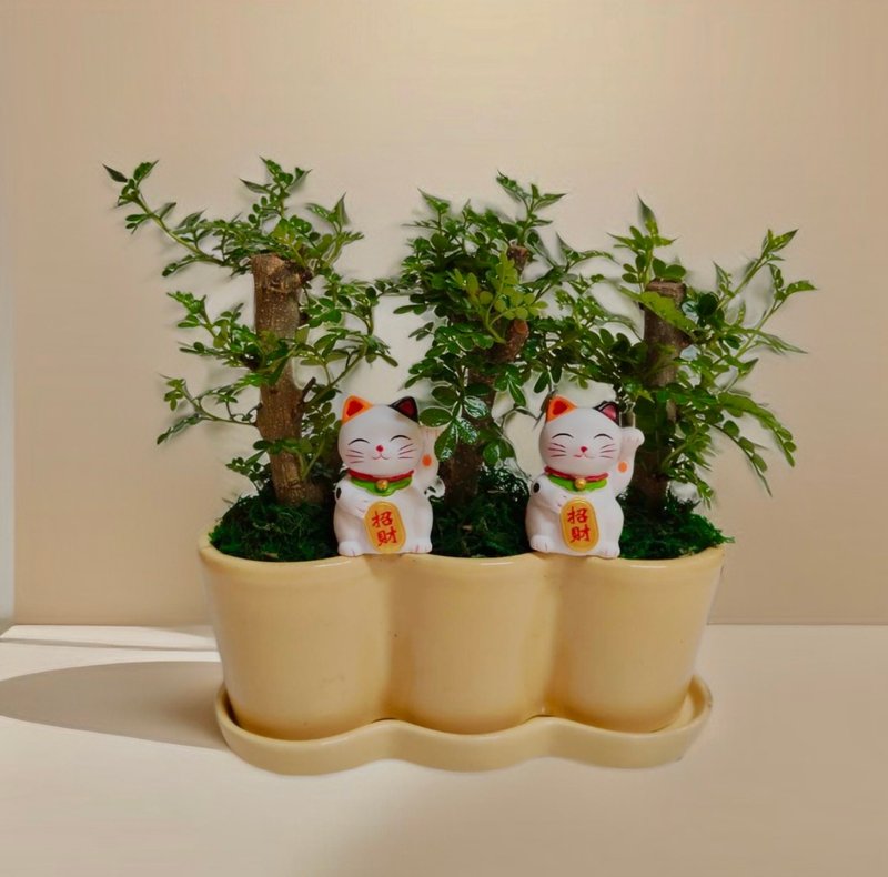 【開幕送禮首推】胡椒樹桌上型盆栽 招財貓造型開幕喬遷新居送禮 - 植栽/盆栽 - 陶 