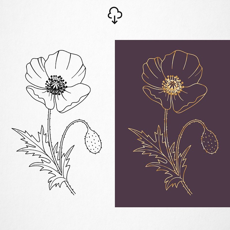 Hand drawing poppy flowers. Floral botanical clipart in SVG, EPS, PNG, JPG, DXF - Illustration, Painting & Calligraphy - Other Materials Red
