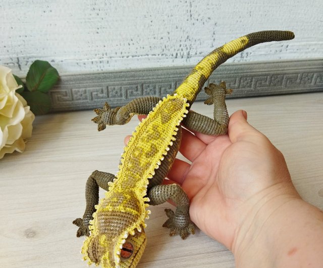 オウカンミカドヤモリ。木のトカゲ。繊毛ヤモリのリアルなやわらかい姿