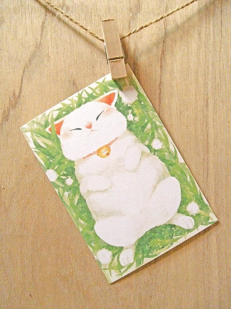 Cat domesticated hen white / postcard postcard - การ์ด/โปสการ์ด - กระดาษ 