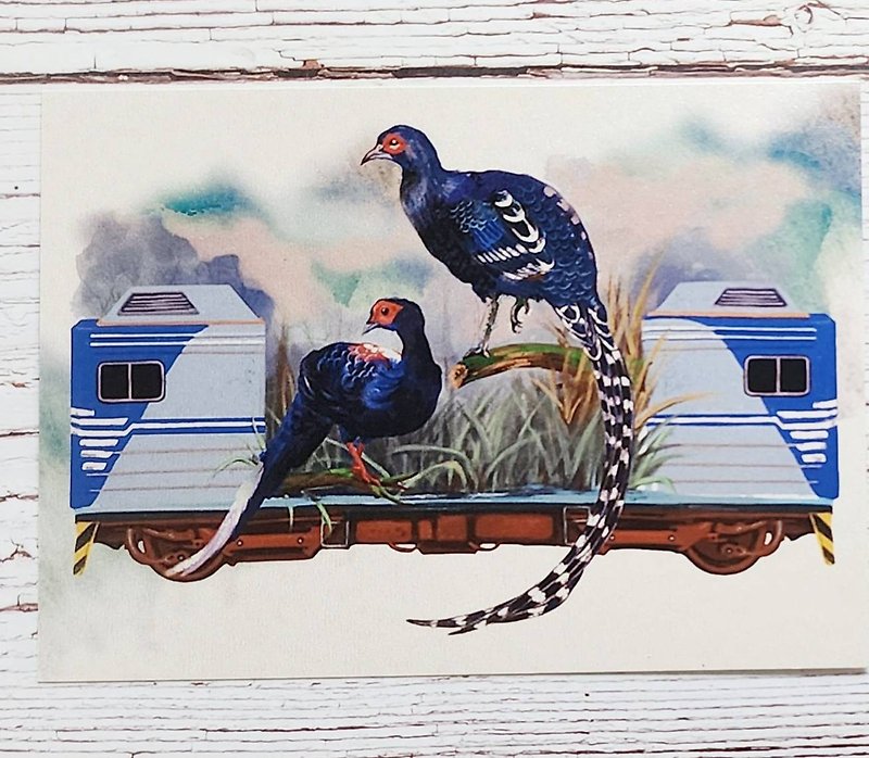 Taiwan's unique train postcard (Emperor Pheasant) - การ์ด/โปสการ์ด - กระดาษ 