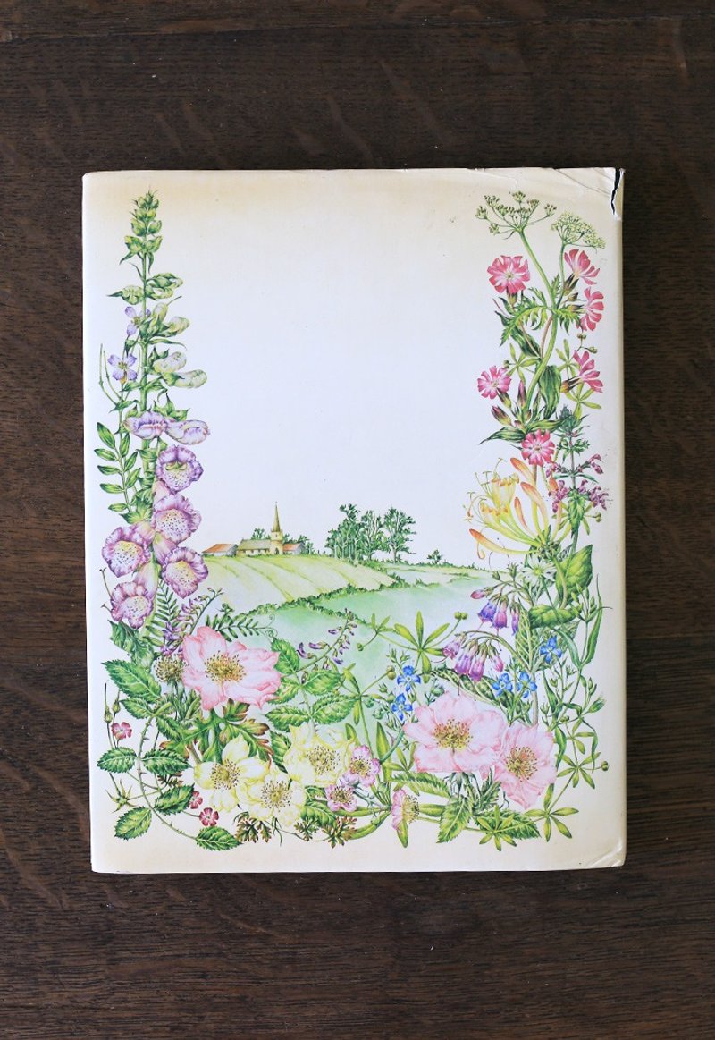 英國1993s【樹籬】自然花草 插畫 攝影 圖書 復古老書 - 刊物/書籍 - 紙 綠色