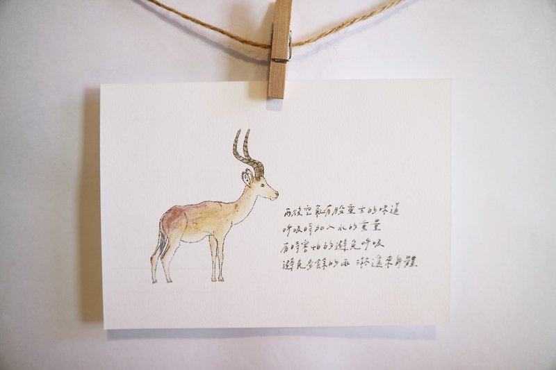 動物與牠的詩40/ 羚羊/ 手繪 /卡片 明信片 - 卡片/明信片 - 紙 