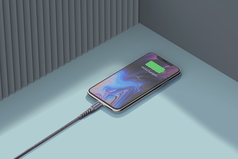 thecoopidea Lightning to USB-A Fast Charging Cable (1.2M)-Gray - Chargers & Cables - Other Metals 