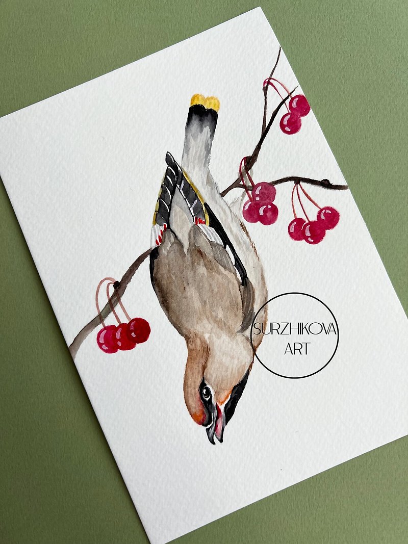Forest bird waxwing on a branch with red berries, 5x7 - Wall Décor - Paper 