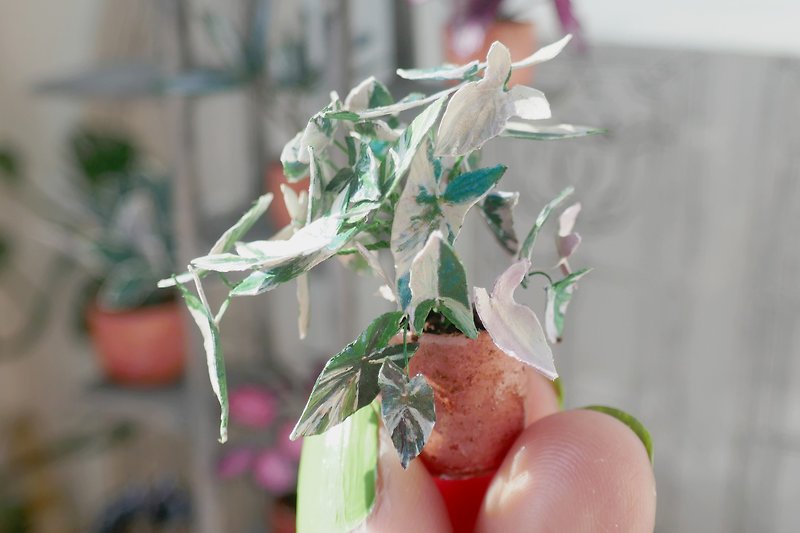 1:12 miniature plants | Syngonium Imperial white